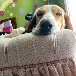 Meet your Posher, Caroline